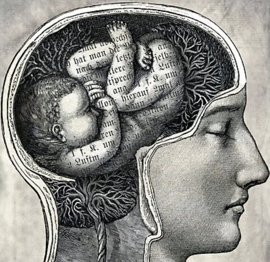 Unborn thumbnail